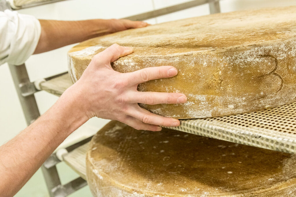 fromager-formation-01